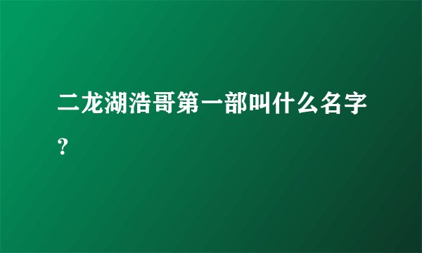 二龙湖浩哥第一部叫什么名字?