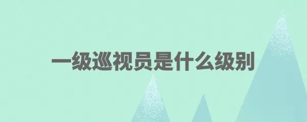 一级巡视员是什么级别