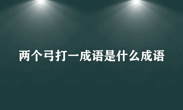 两个弓打一成语是什么成语