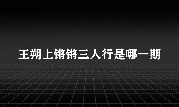 王朔上锵锵三人行是哪一期