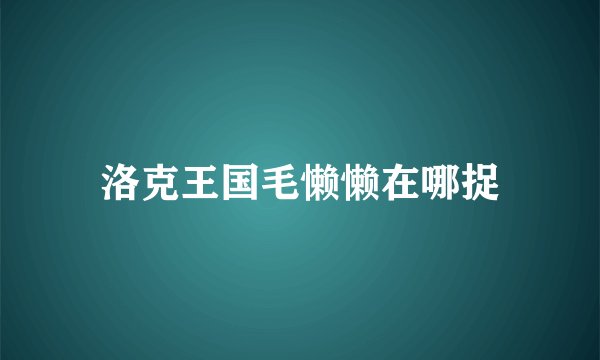 洛克王国毛懒懒在哪捉