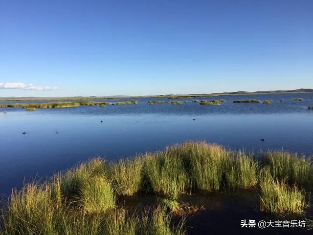 中国有哪些乐队是三个人的组合？