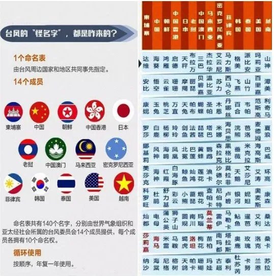 美莎克是什么