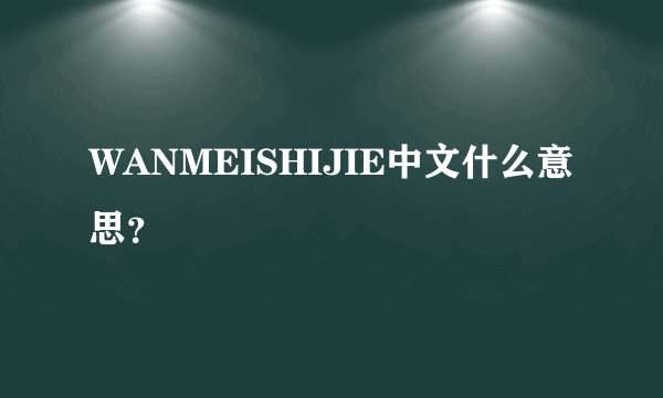 WANMEISHIJIE中文什么意思？