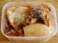 乌贼的做法