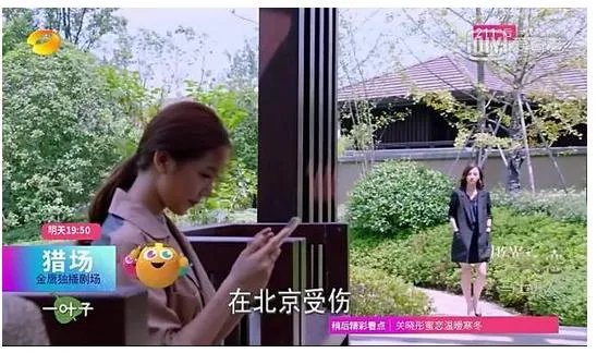 贾衣玫离开公司后，罗伊人会进到郑秋冬的公司吗？