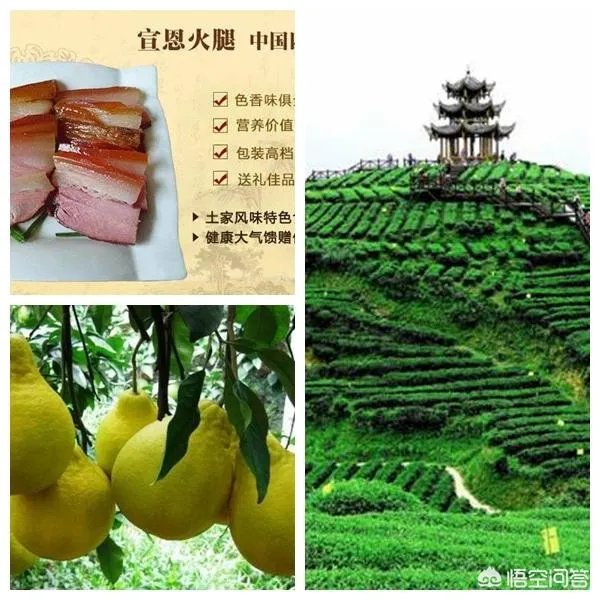 恩施有哪些土特产？