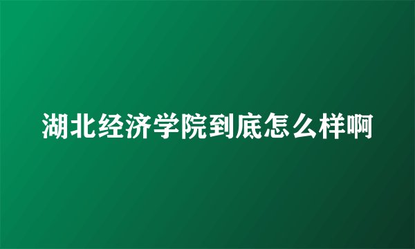 湖北经济学院到底怎么样啊
