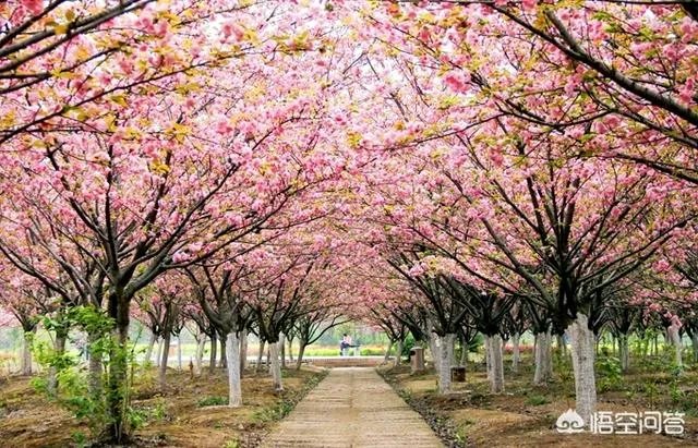 湖北黄冈师范学院是一所什么档次的师范类大学？