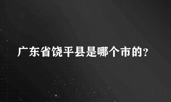 广东省饶平县是哪个市的？