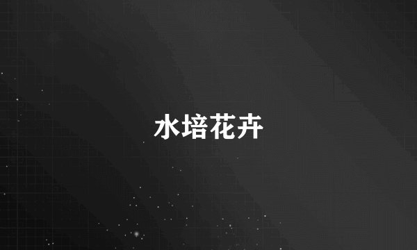 水培花卉