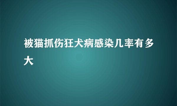 被猫抓伤狂犬病感染几率有多大