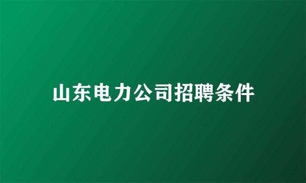 山东电力公司招聘条件
