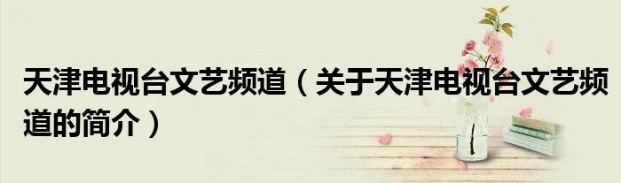 天津电视台文艺频道（关于天津电视台文艺频道的简介）