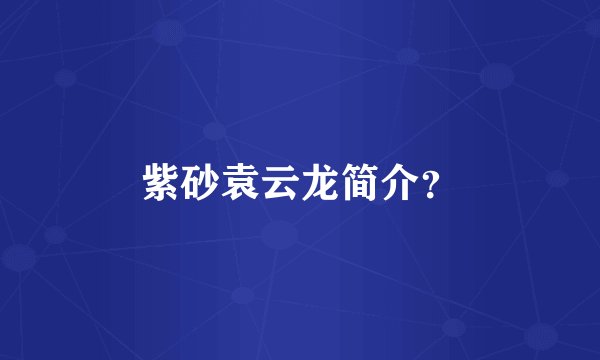 紫砂袁云龙简介？