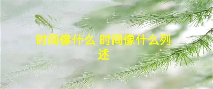 时间像什么 时间像什么列述