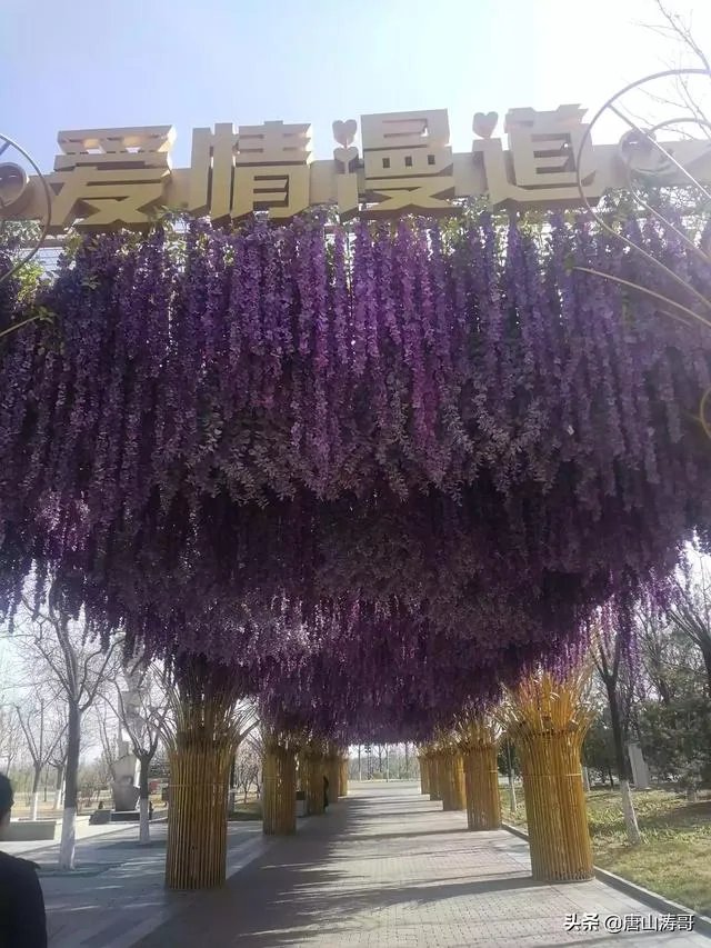 唐山是哪个省的？