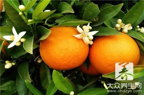 橘子皮有什么用，橘子皮美容