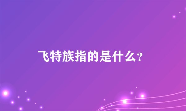 飞特族指的是什么?