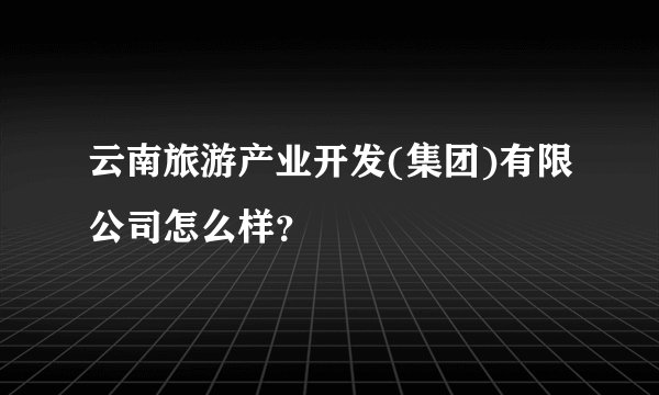 云南旅游产业开发(集团)有限公司怎么样？