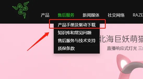 雷蛇驱动怎么下载