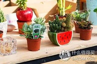 没有想象的那么美:Sony 索尼 QX1L镜头相机评测