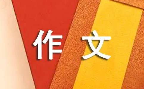 我的小制作作文