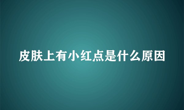 皮肤上有小红点是什么原因