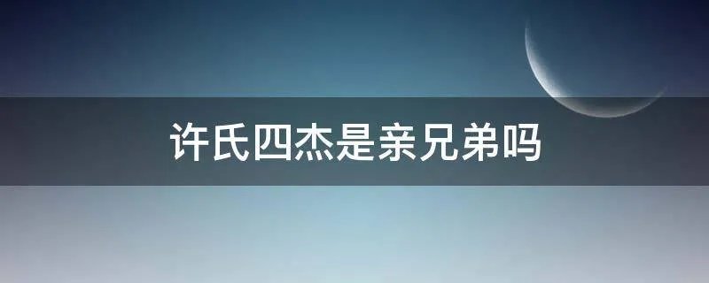 许氏四杰是亲兄弟吗