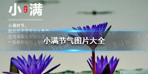小满祝福图片有哪些 小满节气图片大全
