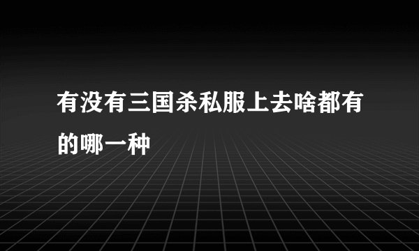 有没有三国杀私服上去啥都有的哪一种