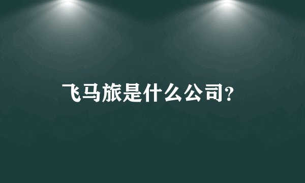 飞马旅是什么公司？