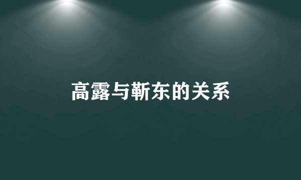 高露与靳东的关系