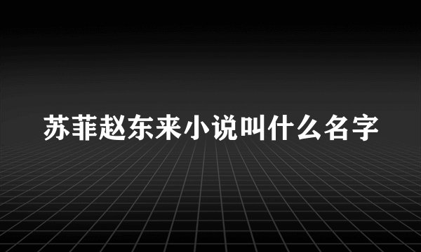苏菲赵东来小说叫什么名字