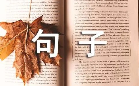 真正懂你的人的句子