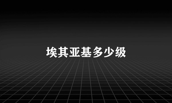 埃其亚基多少级