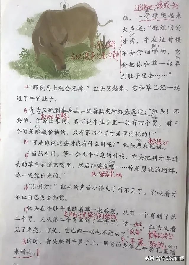 三年级语文上册第十课的生字怎么组词?