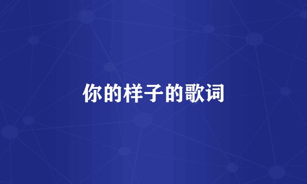 你的样子的歌词