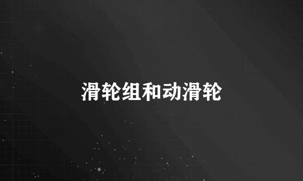 滑轮组和动滑轮