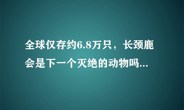 全球仅存约6.8万只，长颈鹿会是下一个灭绝的动物吗？我们真的正在经历第六次物种灭绝吗？