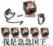 急急急急急我是急急国王表情包