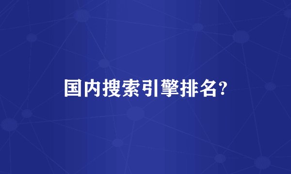 国内搜索引擎排名?