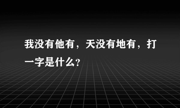 我没有他有，天没有地有，打一字是什么？
