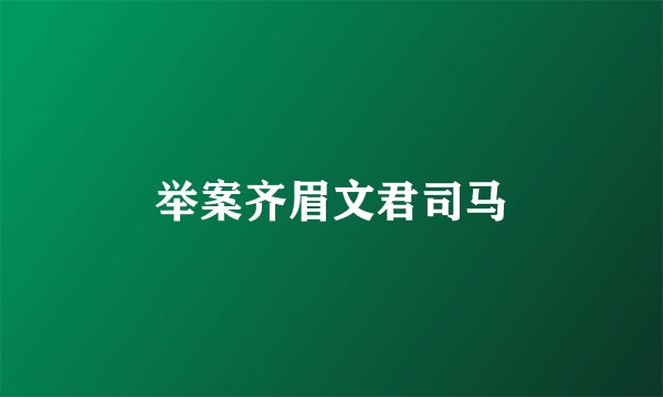 举案齐眉文君司马