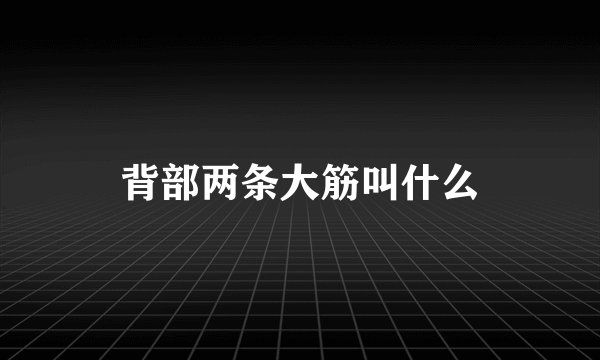 背部两条大筋叫什么
