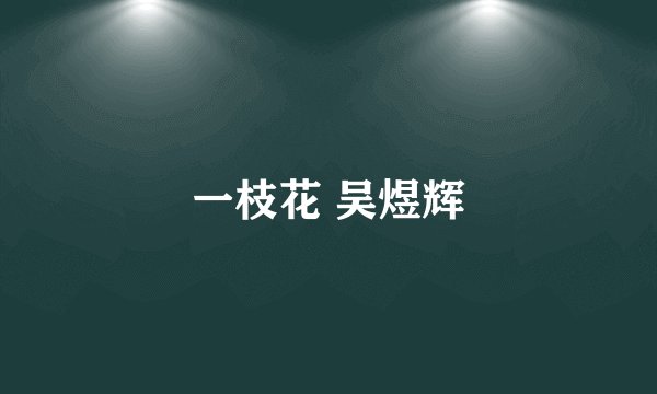 一枝花 吴煜辉