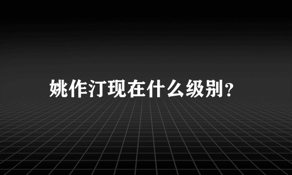 姚作汀现在什么级别？