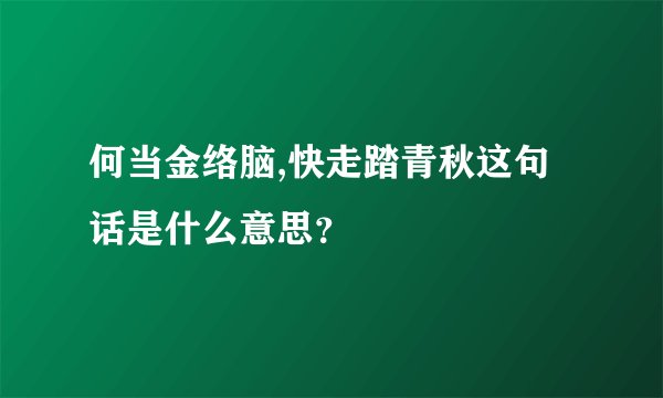 何当金络脑,快走踏青秋这句话是什么意思?