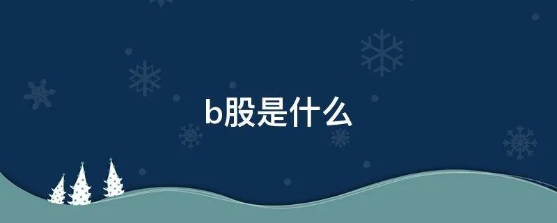 b股是什么