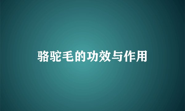 骆驼毛的功效与作用